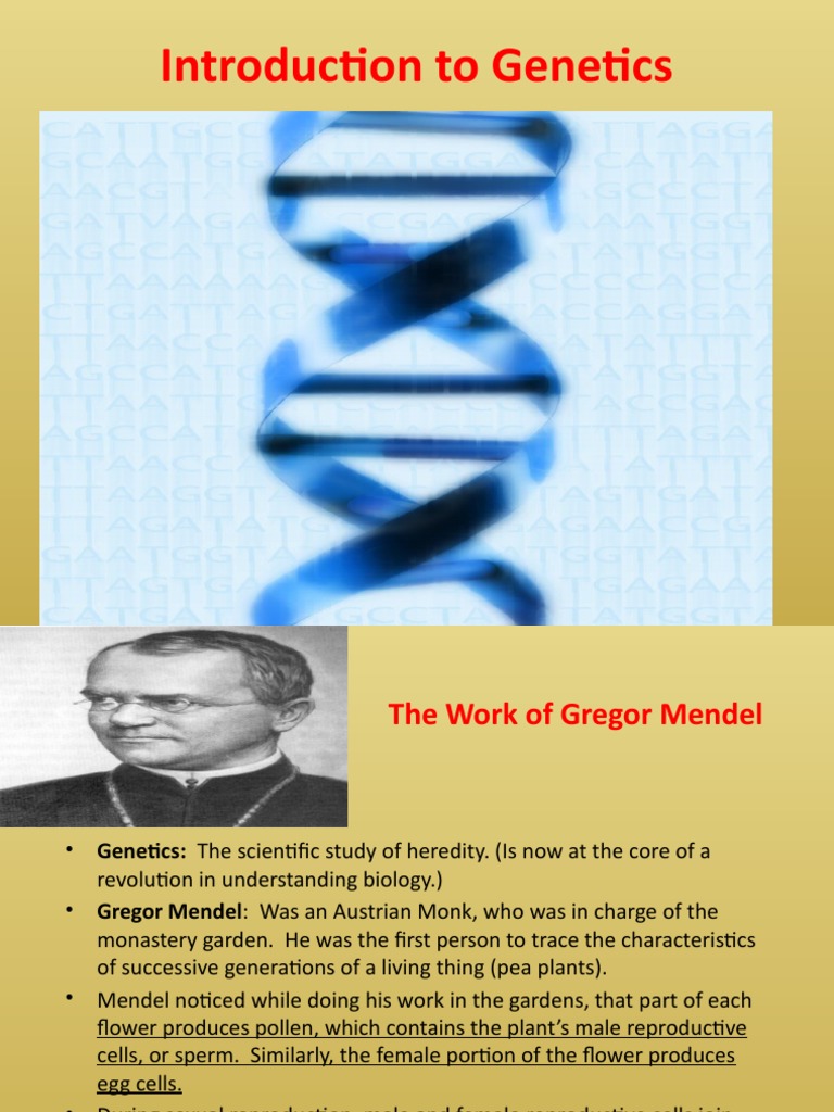 Introduction To PDF Meiosis Dominance