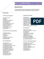 Argentina Programa Parte1-Fundamentos