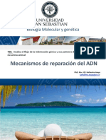 Mecanismos de Reparación Del ADN: Biología Molecular y Genética