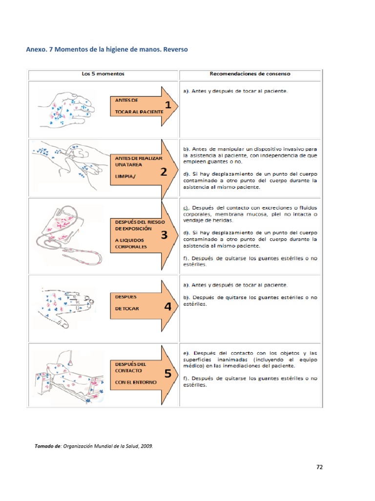 5 Momentos Del Lavado de Manos 2 | PDF | Ciencia y matemáticas