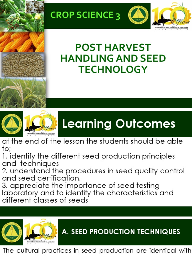 G. Seed Production Techniques | PDF | Hybrid (Biology) | Seed