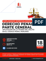 Brochure Diplomado Derecho Penal Parte General