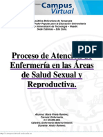 Proceso de Atención de Enfermería en Las Áreas de Salud Sexual y Reproductiva. - María Pirela Ramírez