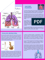 Fisiología Respiratoria - de La Cruz Romero Flor Eliza