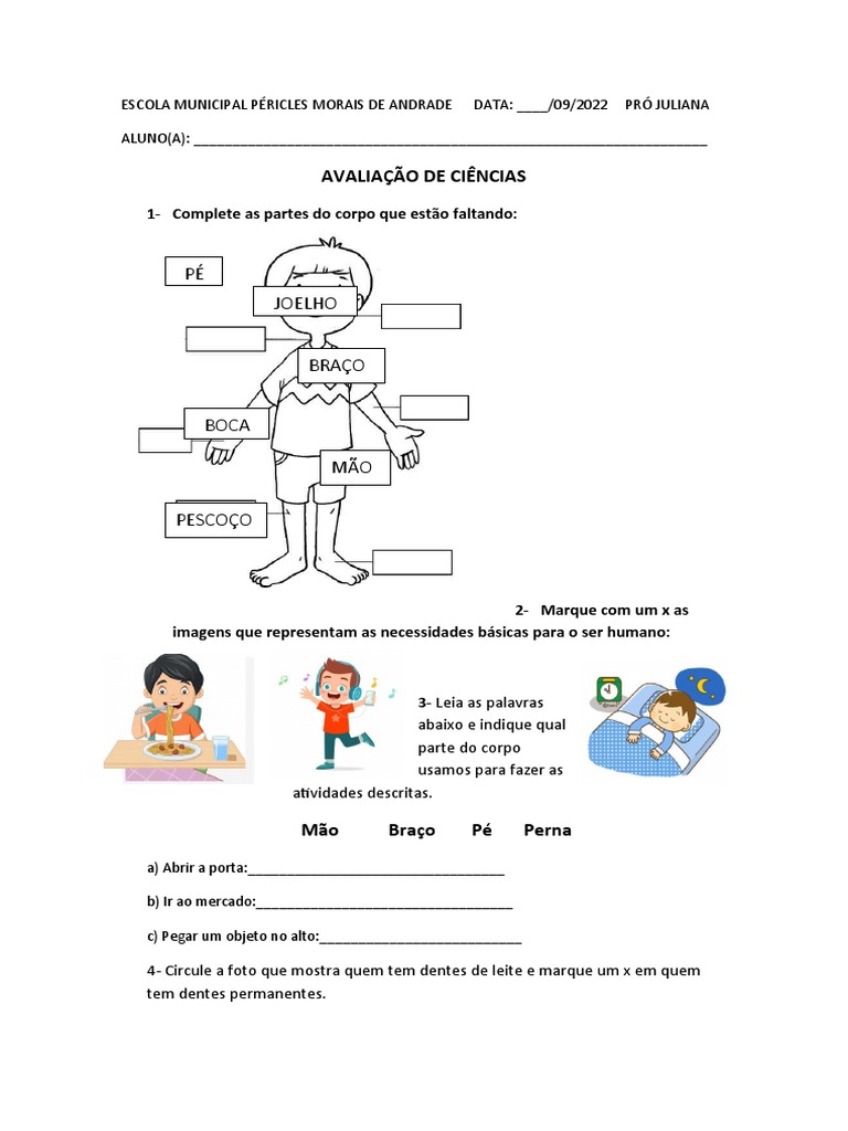 AValiaçao DE CIENCIAS 1 ANO | PDF