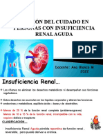 Ins +renal+aguda+2022