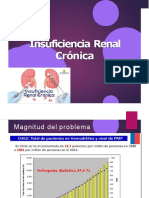 Insuficiencia Renal Cronica+2022