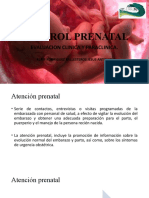 Control Prenatal: Evaluacion Clinica Y Paraclinica