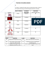 B8 - Post-Test Circulatory System