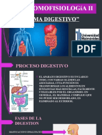 Anatomofisiología Ii: "Sistema Digestivo"