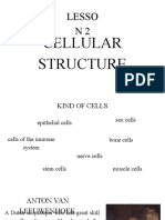 Lesso N2: Cellular Structure