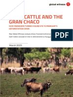 Cash Cattle and The Gran Chaco March 2023 EN