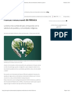 Plantas medicinales de México | Secretaría de Medio Ambiente y Recursos Naturales | Gobierno | gob.mx