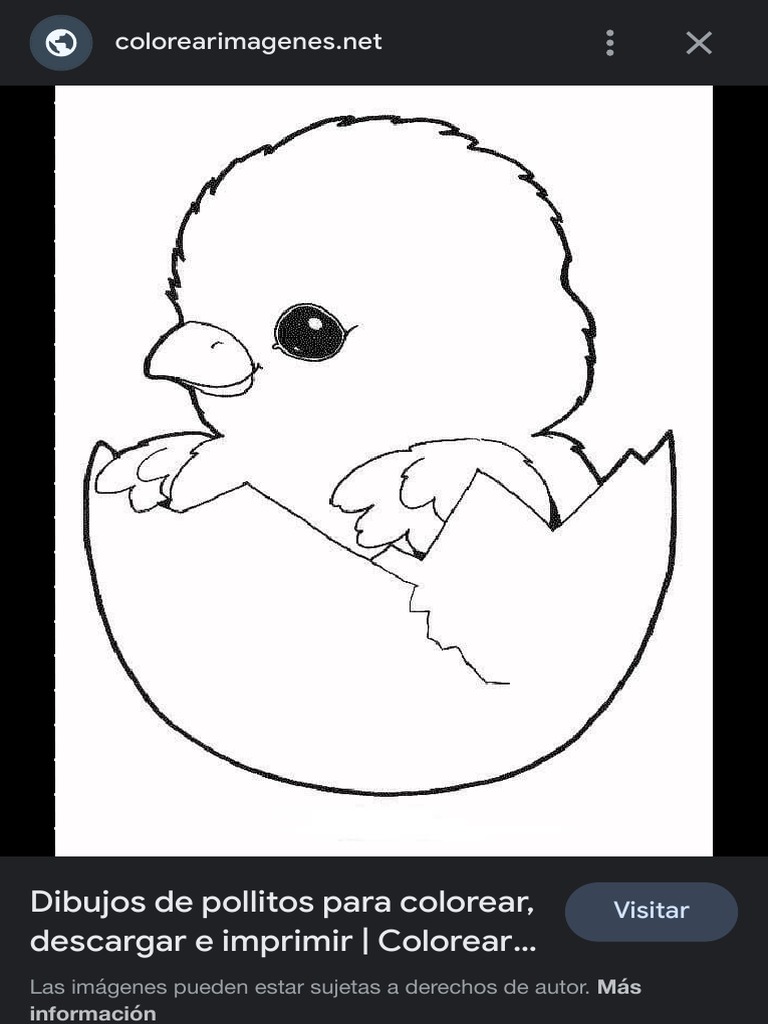 pollitoscoloiarr-buscar-con-google-pdf