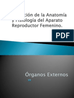 Descripción de La Anatomía y Fisiología Del Aparato