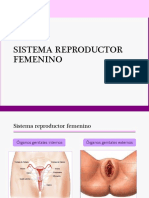 Sistema Reproductor Femenino