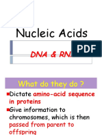 Nucleic Acid