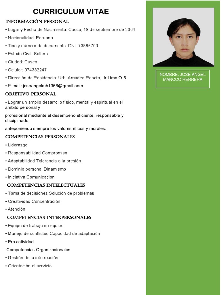 Curriculum Jose Angel PDF