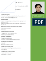 Curriculum Vitae