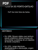 Terapia Do Ponto Gatilho