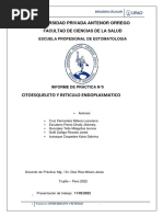 U it uslubidagi pozada dumbasini korsatdi.