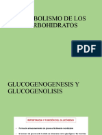 Metabolismo de carbohidratos: glucogenogénesis y glucogenolisis