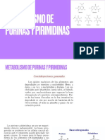 Purinas y Pirimidinas - Bioquimica