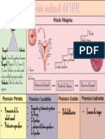 Historia Natural Del VPH