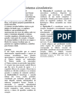 Sistema circulatório e componentes do sangue