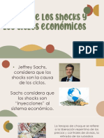 Teoría de Los Shocks y Los Ciclos Económicos