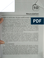 Neurulation: Ormation of Neural Tube-The Best Studied Example of Organogenesis