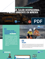 Seguridad, Salud Ocupacional Y Medio Ambiente en Minería: Diplomado Internacional
