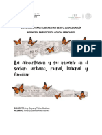 La Alimentación y Su Impacto en El Sector: Urbano, Rural, Laboral y Familiar