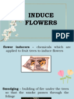 Induce Flower