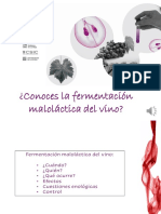 Semana Ciencia Definitiva