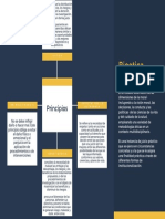 Planificación Profesional Mapa Mental