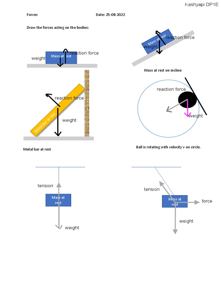 Unit 2.2 Forces IB Physics | PDF