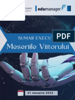 Meseriile Viitorului: Sumar Executiv