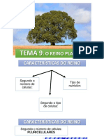 Presentación TEMA 9