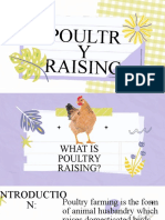 Poultr Y Raising