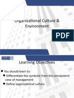 Organizational Culture & Environment