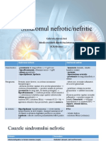 Sindromul Nefrotic/nefritic: Gabriela Keresztesi Medic Rezident Medicina Interna SCJU Brasov