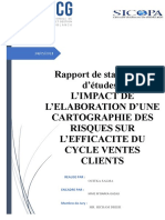 Rapport de Stage de Fin D'études: L'Impact de L'Elaboration D'Une Cartographie Des Risques Sur L'Efficacite Du Cycle Ventes Clients