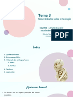 Tema 2 - Generalidades Sobre Osteologia