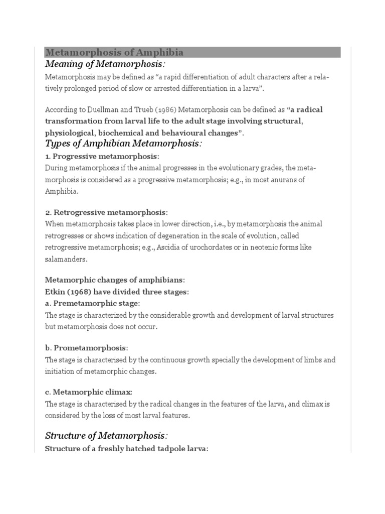 Metamorphisis 2 | PDF | Thyroid Stimulating Hormone | Gill