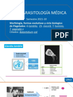 Curso Parasitología Médica: Semestre 2021-10