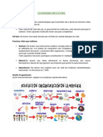 LA MATERIA DE LA VIDA APUNTES BIO T1 Libro Anaya 1º Bachillerato