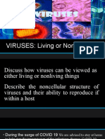 VIRUSES