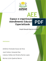 Organização e atribuições do AEE