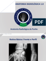 Anatomia Radiológica Do Punho